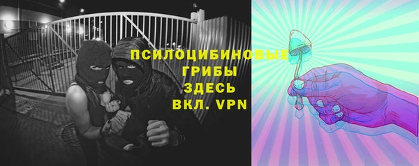 PSILOCYBIN Алексеевка