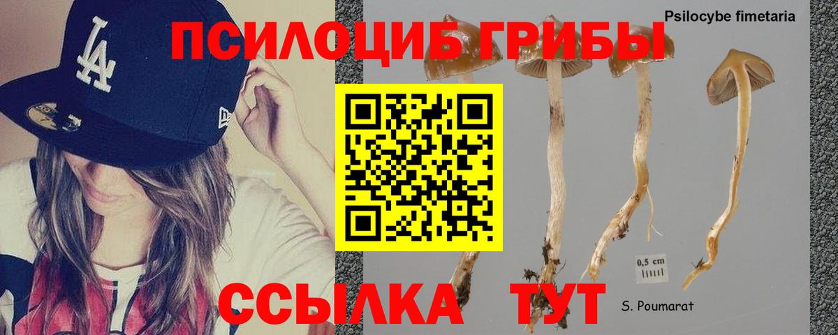 Галлюциногенные грибы GOLDEN TEACHER Череповец