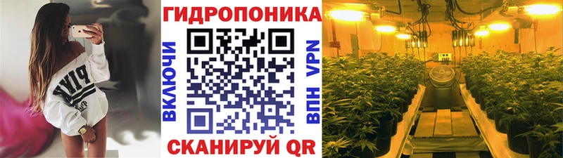 Каннабис конопля  закладки  Череповец 